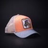 Gorra Goorin Bros Trucker Goat Salmon/Gris