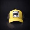 Gorra Goorin Bros Trucker Black Sheep Amarilla