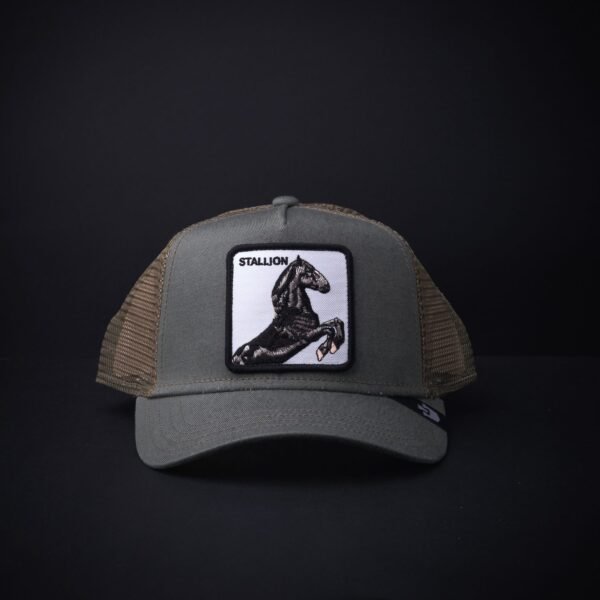 Gorra Goorin Bros Trucker Staillon Verde Olivo