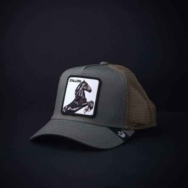 Gorra Goorin Bros Trucker Staillon Verde Olivo
