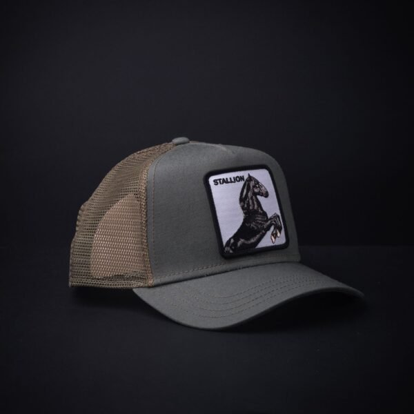 Gorra Goorin Bros Trucker Staillon Verde Olivo