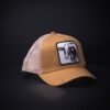 Gorra Goorin Bros Trucker Cash Marron