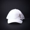 Gorra Goorin Bros Trucker Blessed Blanca