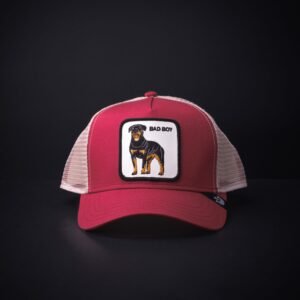 memoria 2-1530 Gorra Goorin Bros Trucker Bad Boy Ginda/Beige