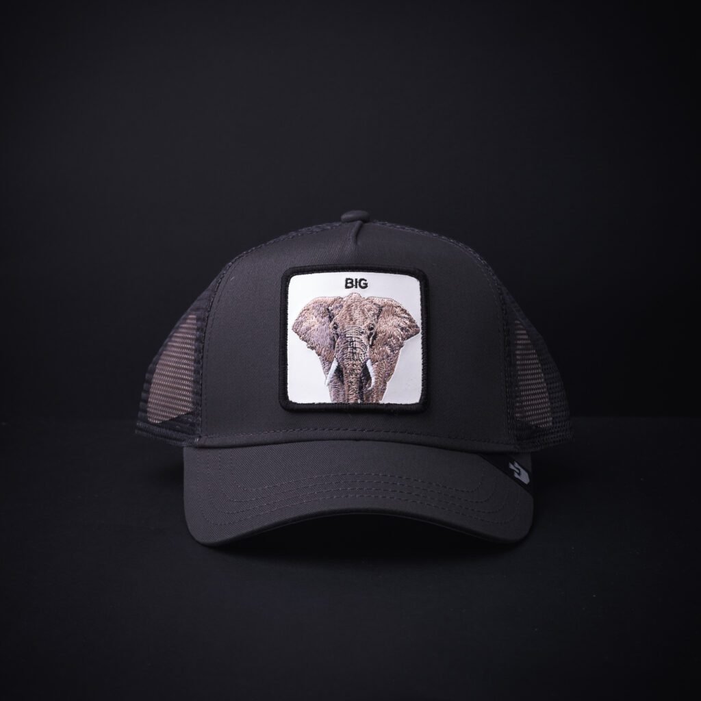Gorra Goorin Bros Trucker  Big Gris