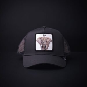 memoria 2-1611 Gorra Goorin Bros Trucker  Big Gris