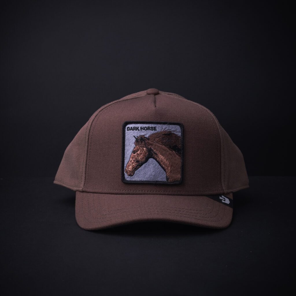 Gorra Goorin Bros  Dark Horse Cafe