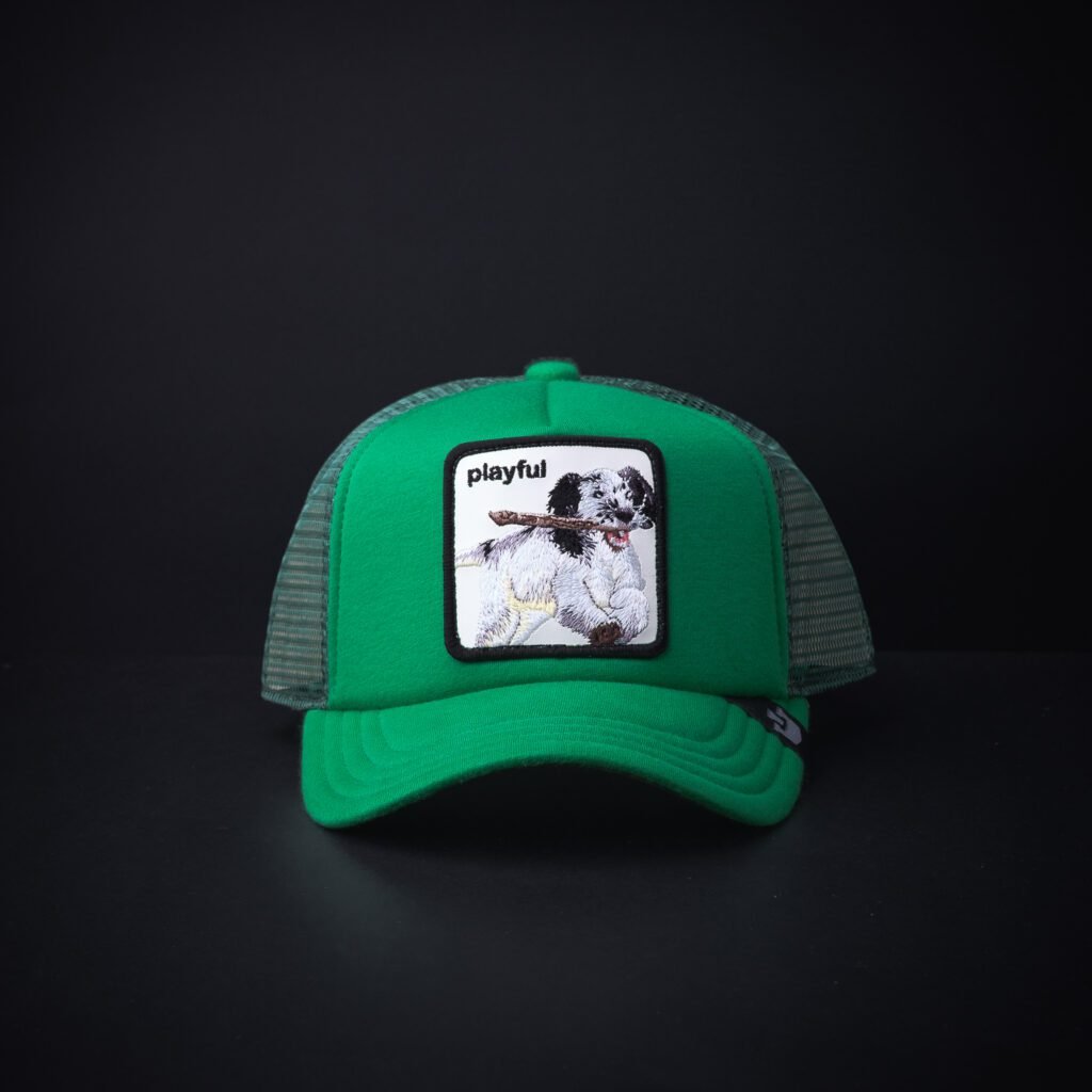 Gorra Goorin Bros Trucker Niño Playful Verde