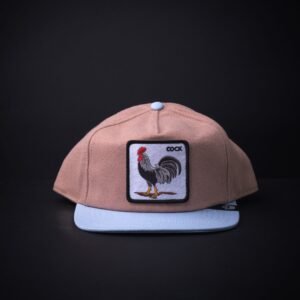 memoria 2-1691 Gorra Goorin Bros Plana Cock Marron/Azul