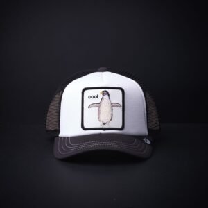 memoria 2-1734 Gorra Goorin Bros Trucker Niño Cool