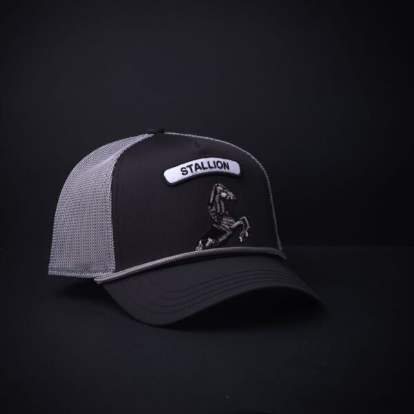 Gorra Goorin Bros Trucker Stallion Negra/Gris