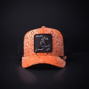 memoria 2-1771 Gorra Goorin Bros Trucker Stallion Anaranjada/Negro