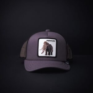 memoria 2-1888 Gorra Goorin Bros Trucker Niño Mammoth Color Gris