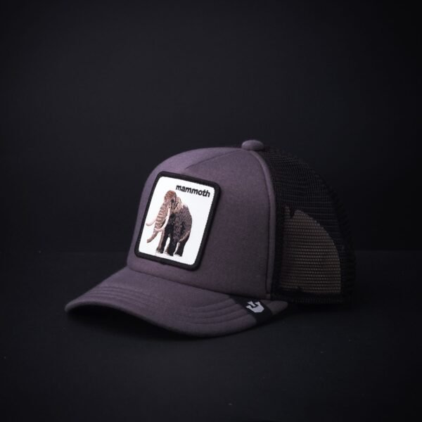 Gorra Goorin Bros Trucker Niño Mammoth Color Gris