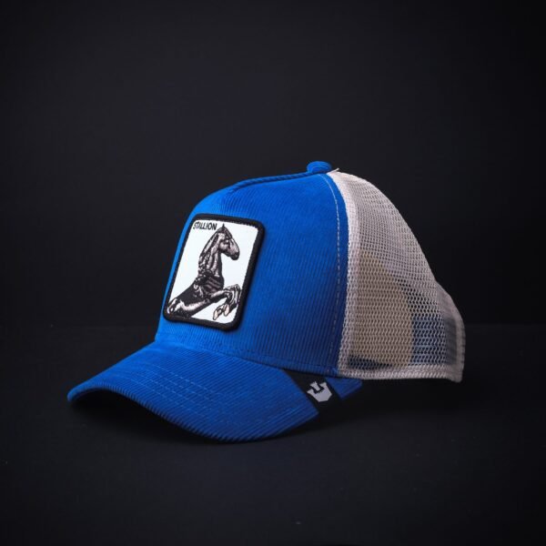 Gorra Goorin Bros Trucker Stallion Color Azul/Blanco
