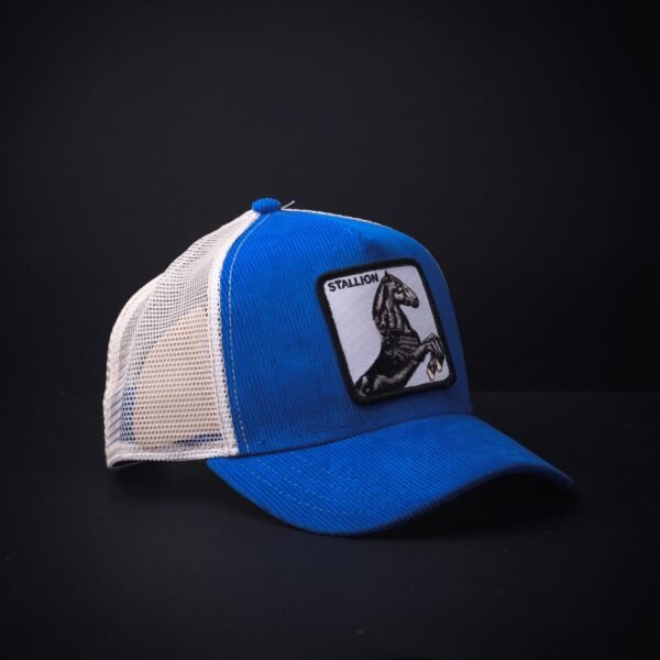 Gorra Goorin Bros Trucker Stallion Color Azul/Blanco