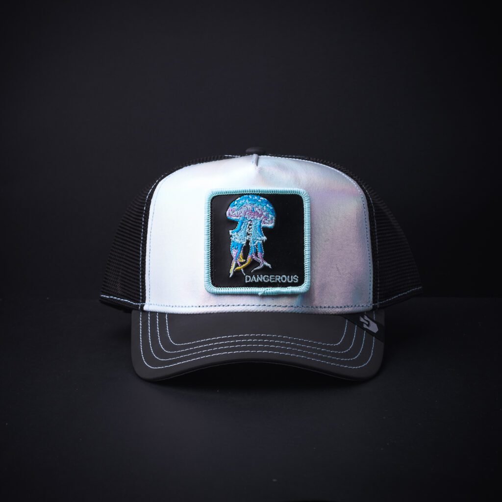 Gorra Goorin Bros Danguerous Tornasol