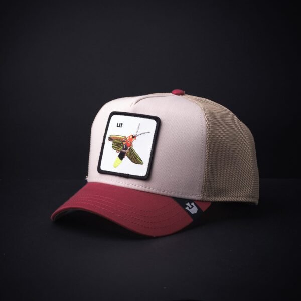 Gorra Goorin Bros Trucker Lit