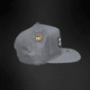 Gorra Mr Kash Money Corp Gris