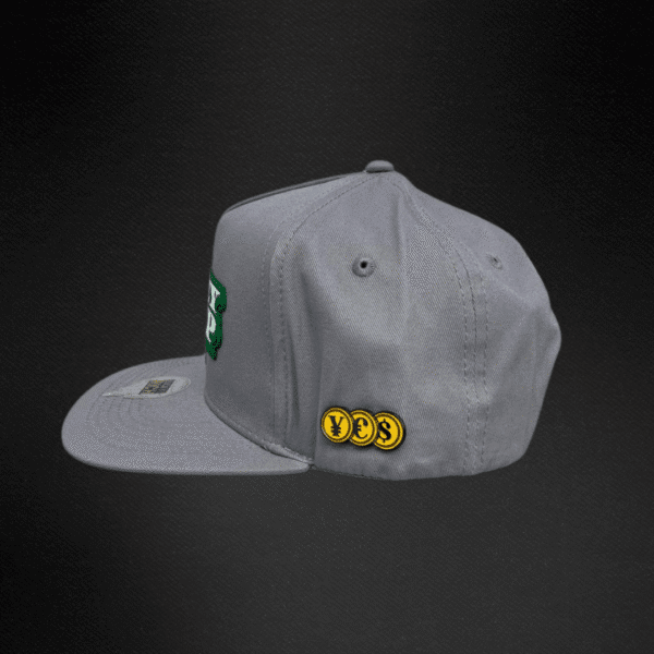Gorra Mr Kash Money Corp Gris