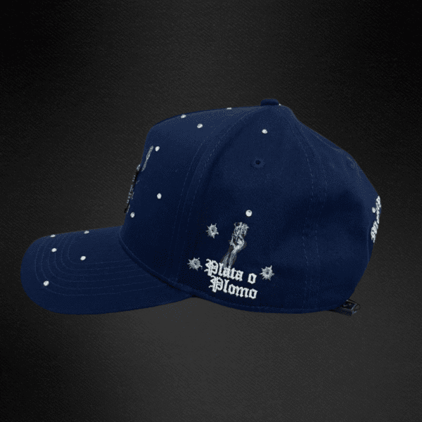 Gorra Cash Only Mc Pato Plata o Plomo Piedras Azul