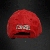 Gorra Cash Only   Lather New Logo Piel Roja
