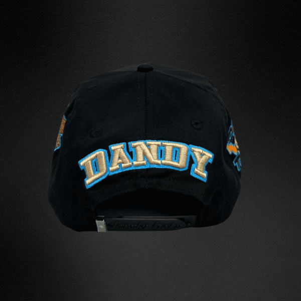 Gorra Dandy Hats University
