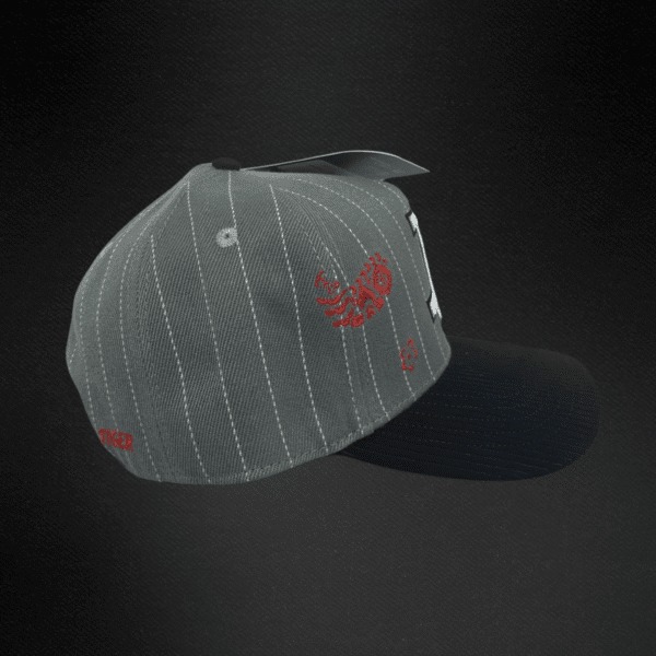 Gorra Jc Hats Tiger Gray Gris