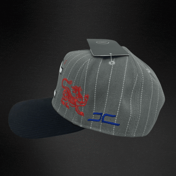 Gorra Jc Hats Tiger Gray Gris