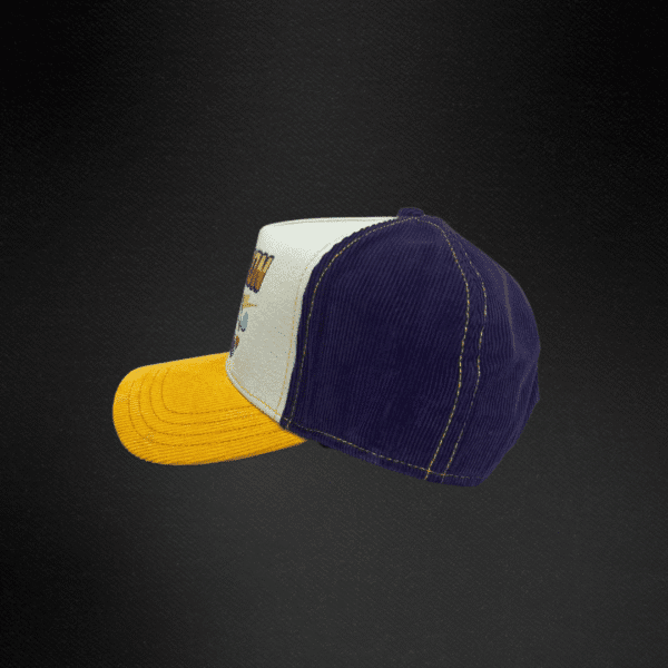 19 Gorra Stetson Europea Trucker Snowboard