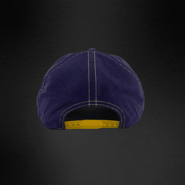 20 Gorra Stetson Europea Trucker Snowboard