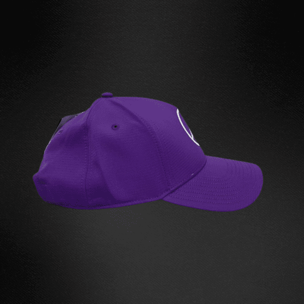 Gorra Mercedes AMG Petronas Formula One