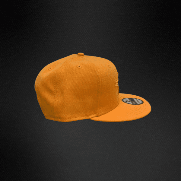 Gorra New Era 9Fifty Toronto Blue Jays Color Snapback