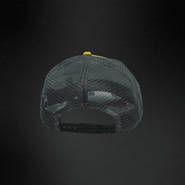 Gorra Stetson Europea Trucker Caddy Service