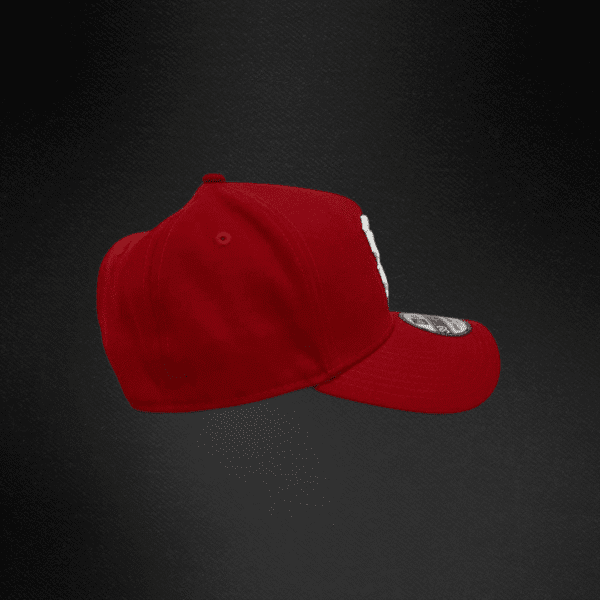 81 Gorra New Era 39Thirty San Francisco Cerrada A-Frame