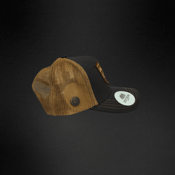 Gorra Stetson Stetson 02