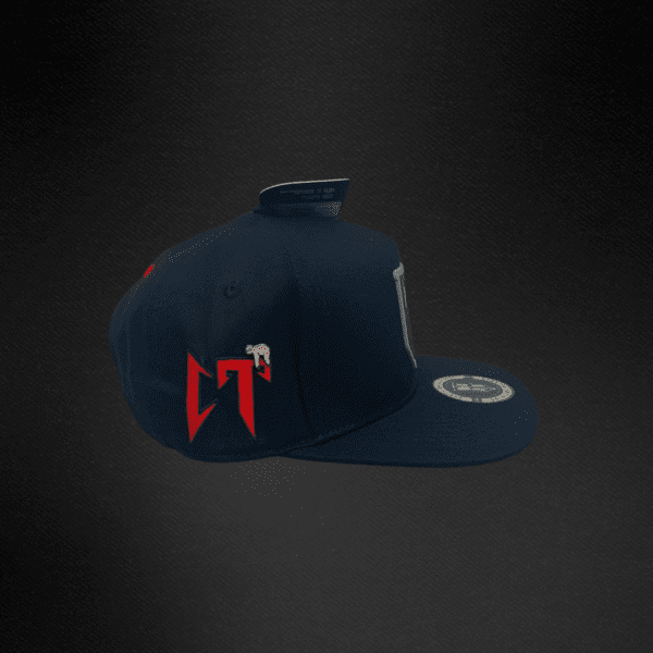 Gorra Jc Hats X Gabito Ballesteros