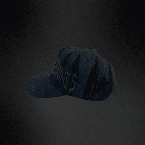 Gorra Rude Awakenings Rude Cathedral