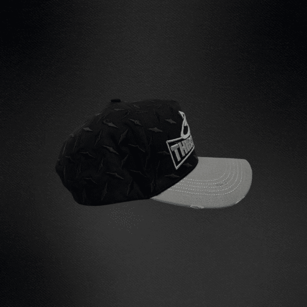 Gorra 31 Hats Take Notes Steel Head