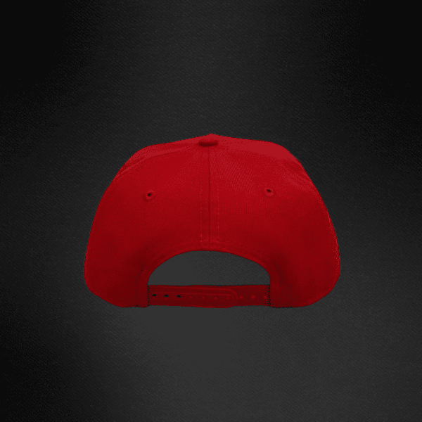 Gorra New Era 9Forty Toronto Raptors NBA A-Frame