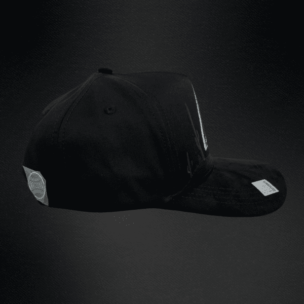 Gorra Bigg Boss Arizona Diamondbacks