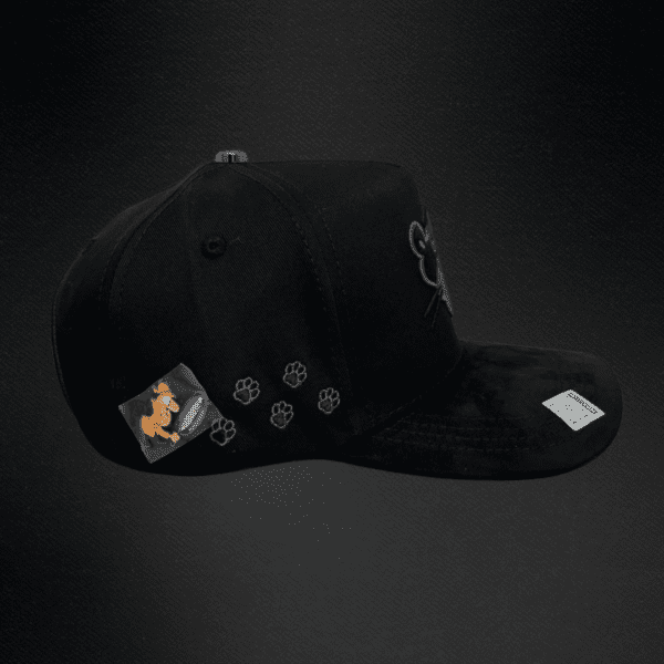 Gorra Bigg Boss Panther Pink